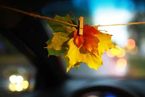 Autumn Leaves Hanging on String Inside Car with Bokeh Lights Background Stock Photos