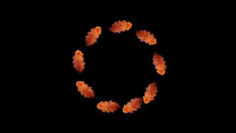 Autumn Leaves Hypnotic 3 Stock Footage 114453922