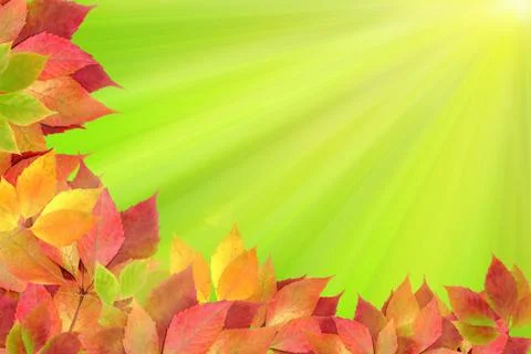 Autumn leaves Stock Illustration