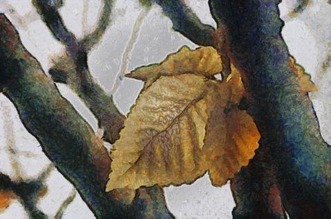 Autumn leaves Stock Illustration