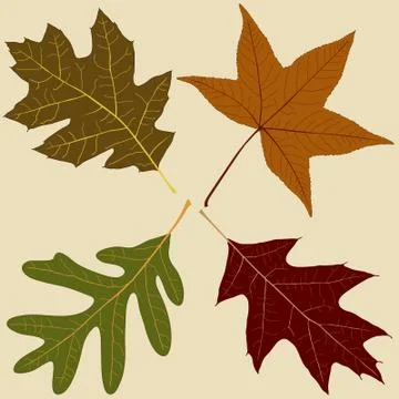 Autumn leaves Иллюстрация