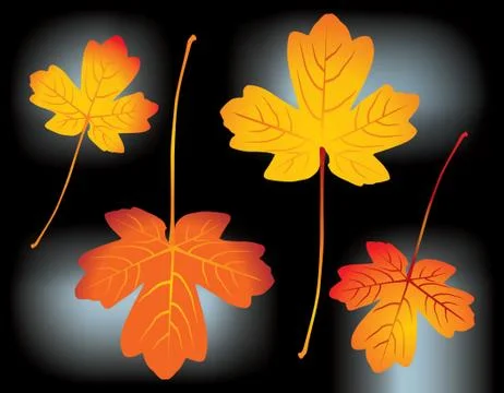 Autumn leaves Illustrazione stock