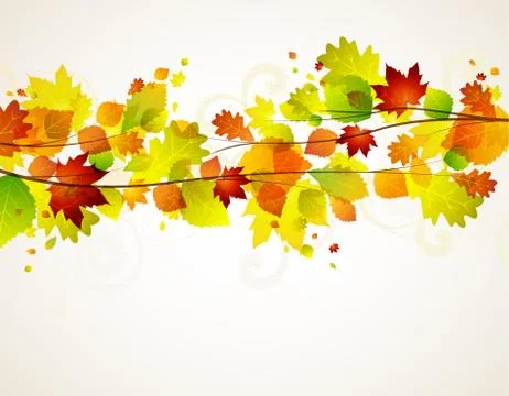 Autumn leaves Stock Illustration