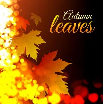 Autumn leaves Stock Illustration