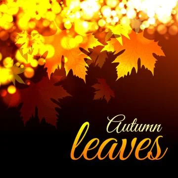 Autumn leaves Stock Illustration