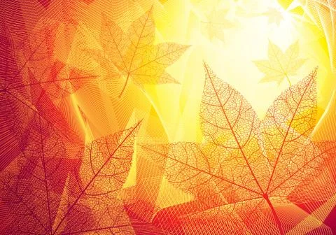Autumn leaves Stock Illustration