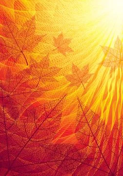 Autumn leaves 스톡 일러스트