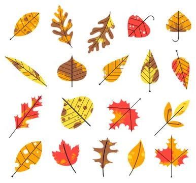 Autumn Leaves Stock Illustration