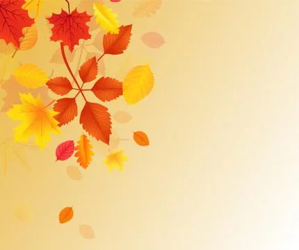 Autumn Leaves Stock Illustration
