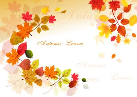 Autumn Leaves Stock Illustration