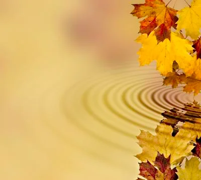 Autumn leaves Stock Illustration
