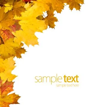 Autumn leaves Stock Illustration