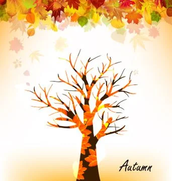 Autumn Leaves Stock Illustration