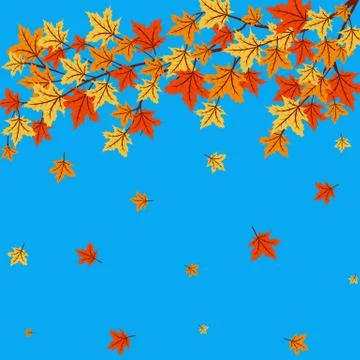 Autumn leaves Stock Illustration
