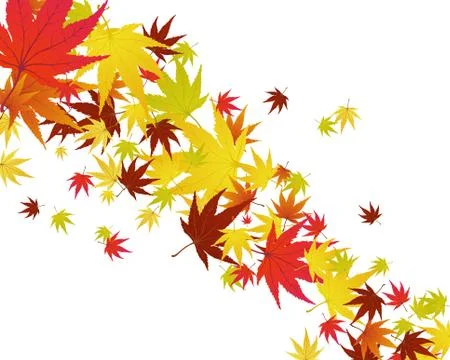 Autumn leaves Stock Illustration