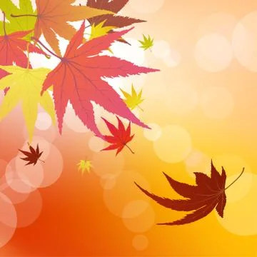 Autumn leaves Stock Illustration
