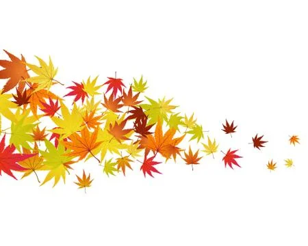 Autumn leaves Stock Illustration
