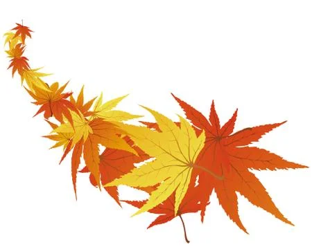 Autumn leaves Stock Illustration