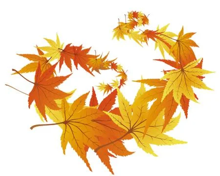 Autumn leaves Stock Illustration
