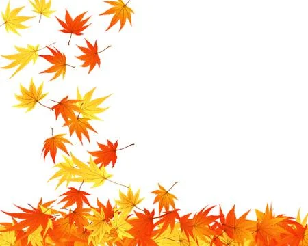 Autumn  leaves Stock Illustration
