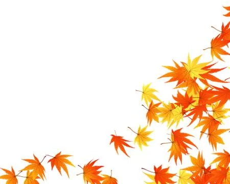 Autumn  leaves Stock Illustration