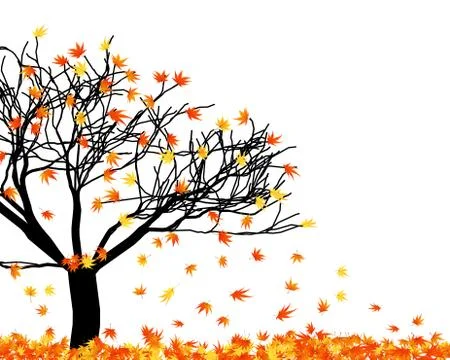 Autumn  leaves Stock Illustration