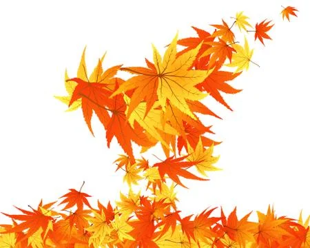 Autumn leaves Stock Illustration