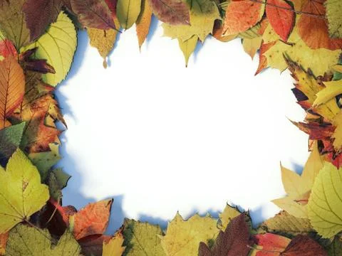 Autumn Leaves Stock Illustration