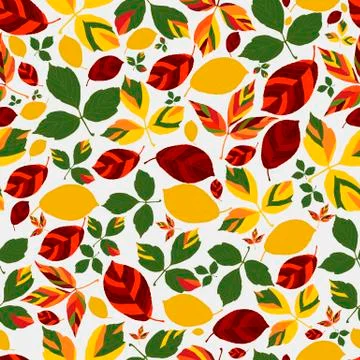 Autumn leaves Stock Illustration