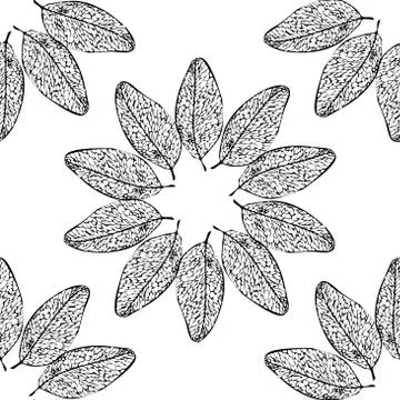 Autumn leaves Stock Illustration
