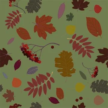 Autumn leaves Stock Illustration