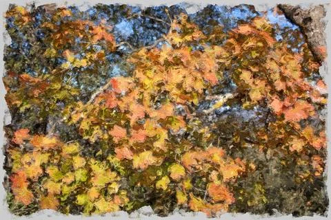 Autumn leaves Stock Illustration