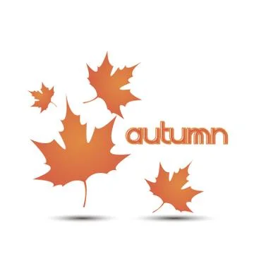 Autumn leaves leaf vector background fall white illustration yellow nature de イラスト素材