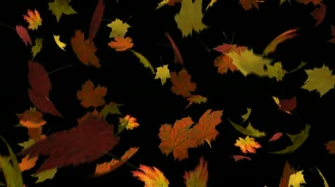 Autumn Leaves Loop Stock Footage 11357337