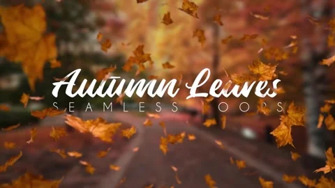 Autumn Leaves Loops After Effects stock