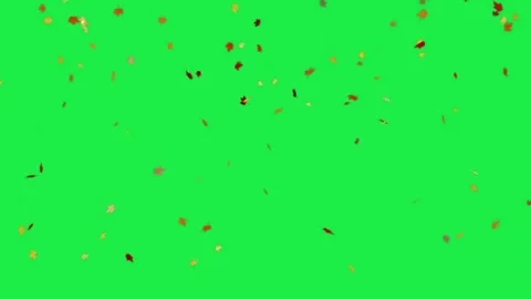 Autumn Leaves Maple Leaf Falling Animation Overlay Green Screen Background Video stock 303385462