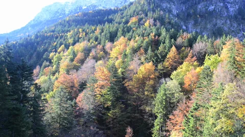 Autumn leaves in the mountain Stock Footage 33781093