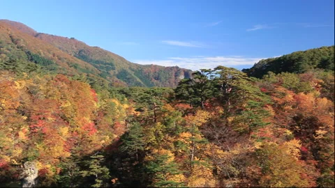 Autumn Leaves at Naruko Gorge Vídeos de archivo 332417614