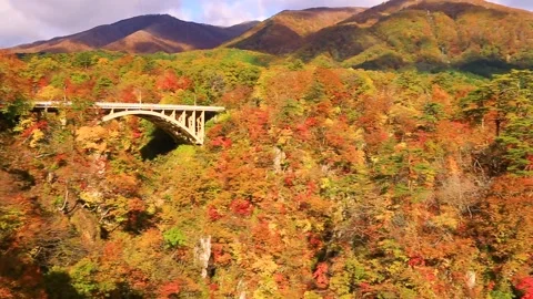 Autumn Leaves at Naruko Gorge Stockbeeldmateriaal 332498069