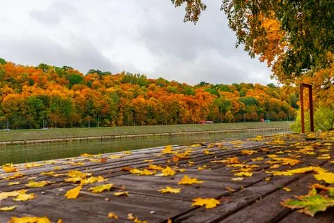 Autumn leaves near the river in Kaunas city Stock Photos
