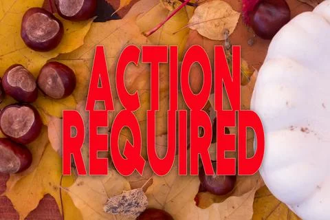 Autumn leaves, objects with Action Required text. Natural patterns, color des Stockfoto's