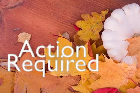 Autumn leaves, objects with Action Required text. Natural patterns, color des Stock Photos