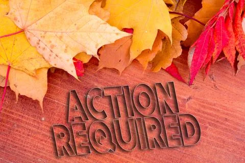 Autumn leaves, objects with Action Required text. Natural patterns, color des 스톡 사진