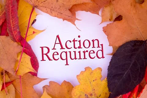 Autumn leaves, objects with Action Required text. Natural patterns, color des Stockfoto's