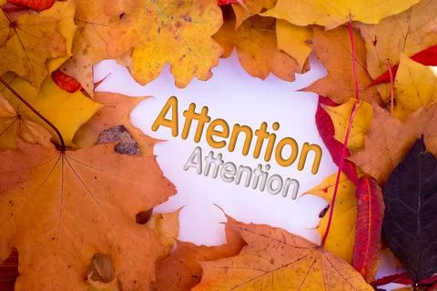Autumn leaves, objects with Attention text. Natural patterns, color design. Stockfoto's