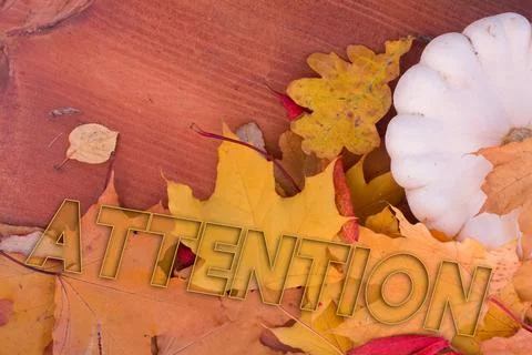 Autumn leaves, objects with Attention text. Natural patterns, color design. Stockfoto's