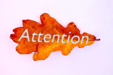 Autumn leaves, objects with Attention text. Natural patterns, color design. Stockfoto's