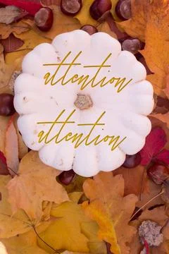Autumn leaves, objects with Attention text. Natural patterns, color design. Stock Photos