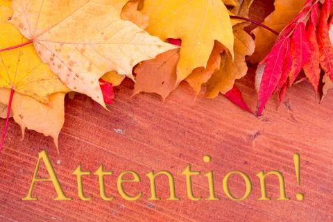 Autumn leaves, objects with Attention text. Natural patterns, color design. 스톡 사진