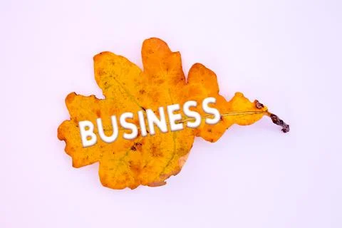 Autumn leaves, objects with Business text. Natural patterns, color design. Stock Illustration